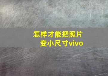 怎样才能把照片变小尺寸vivo