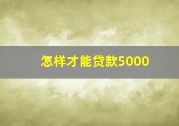 怎样才能贷款5000