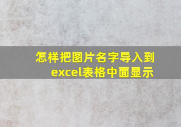 怎样把图片名字导入到excel表格中面显示