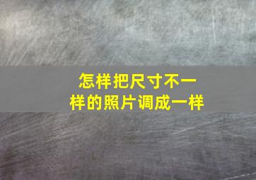 怎样把尺寸不一样的照片调成一样