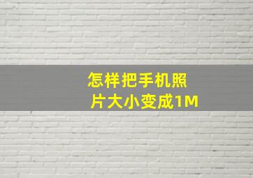 怎样把手机照片大小变成1M