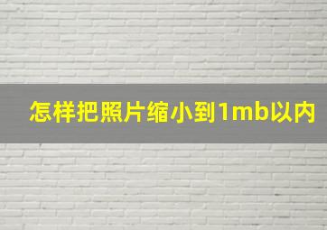 怎样把照片缩小到1mb以内