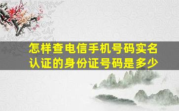 怎样查电信手机号码实名认证的身份证号码是多少