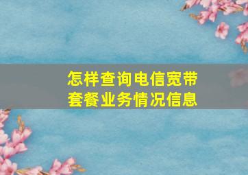 怎样查询电信宽带套餐业务情况信息