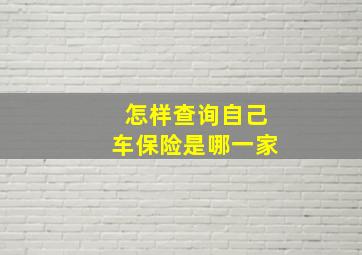 怎样查询自己车保险是哪一家