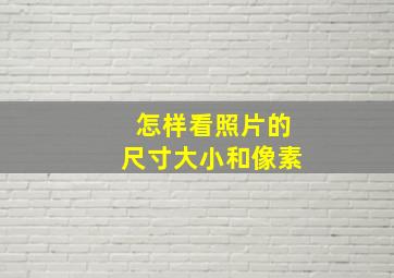 怎样看照片的尺寸大小和像素