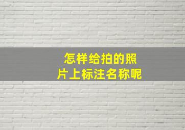 怎样给拍的照片上标注名称呢