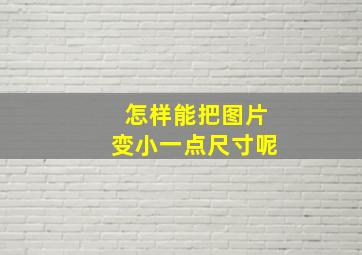 怎样能把图片变小一点尺寸呢