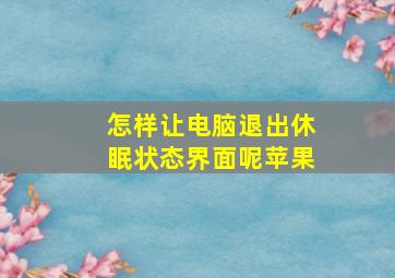 怎样让电脑退出休眠状态界面呢苹果