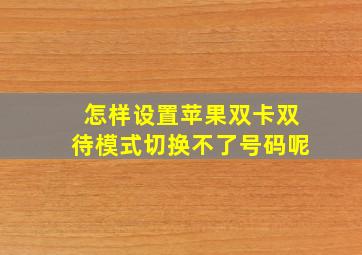 怎样设置苹果双卡双待模式切换不了号码呢