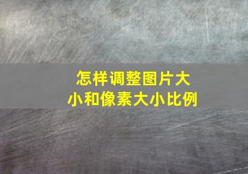 怎样调整图片大小和像素大小比例