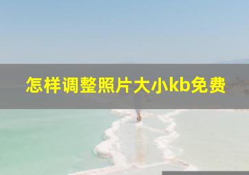 怎样调整照片大小kb免费