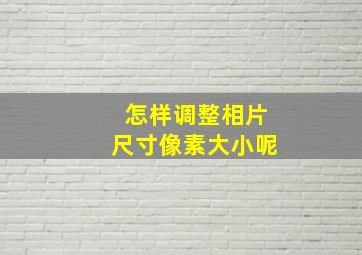 怎样调整相片尺寸像素大小呢