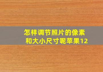 怎样调节照片的像素和大小尺寸呢苹果12