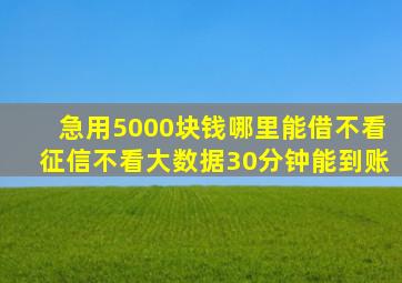 急用5000块钱哪里能借不看征信不看大数据30分钟能到账