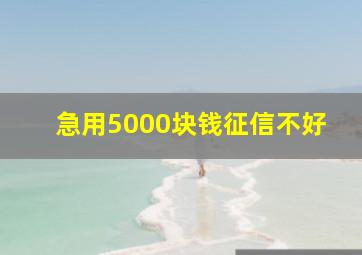 急用5000块钱征信不好