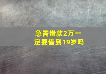 急需借款2万一定要借到19岁吗