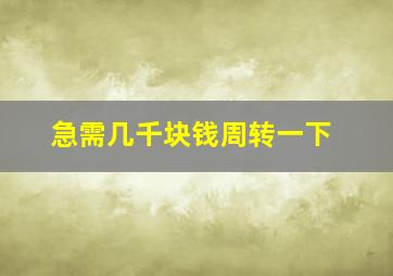 急需几千块钱周转一下