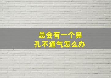 总会有一个鼻孔不通气怎么办