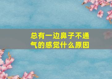 总有一边鼻子不通气的感觉什么原因