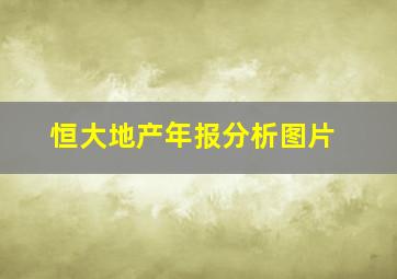 恒大地产年报分析图片