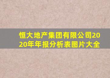 恒大地产集团有限公司2020年年报分析表图片大全