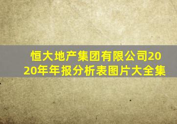 恒大地产集团有限公司2020年年报分析表图片大全集