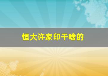 恒大许家印干啥的