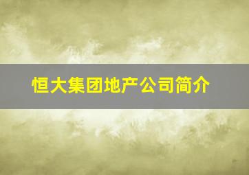 恒大集团地产公司简介