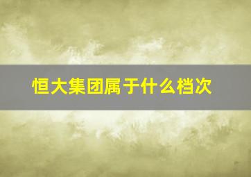 恒大集团属于什么档次