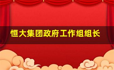 恒大集团政府工作组组长