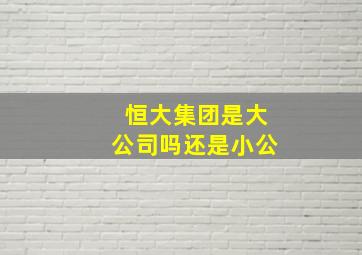 恒大集团是大公司吗还是小公