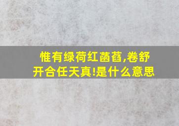 惟有绿荷红菡萏,卷舒开合任天真!是什么意思