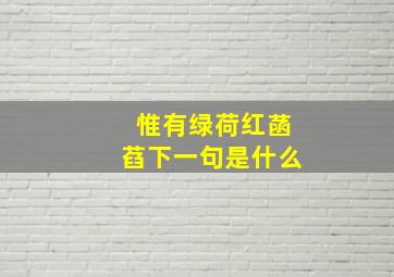 惟有绿荷红菡萏下一句是什么