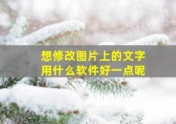 想修改图片上的文字用什么软件好一点呢