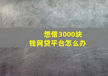 想借3000块钱网贷平台怎么办