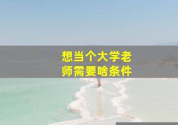 想当个大学老师需要啥条件