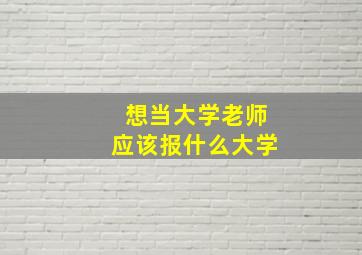 想当大学老师应该报什么大学