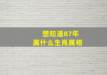 想知道87年属什么生肖属相