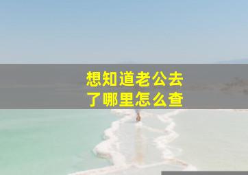 想知道老公去了哪里怎么查