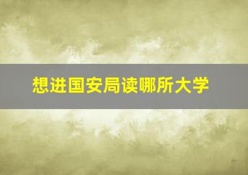 想进国安局读哪所大学