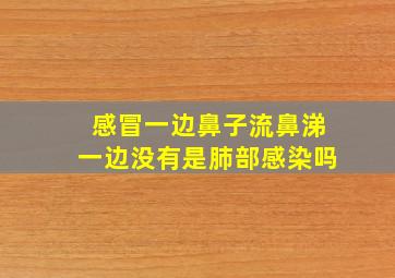 感冒一边鼻子流鼻涕一边没有是肺部感染吗