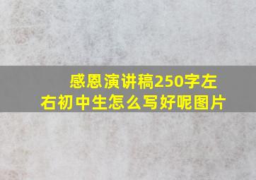 感恩演讲稿250字左右初中生怎么写好呢图片