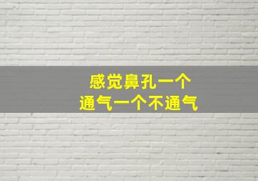 感觉鼻孔一个通气一个不通气