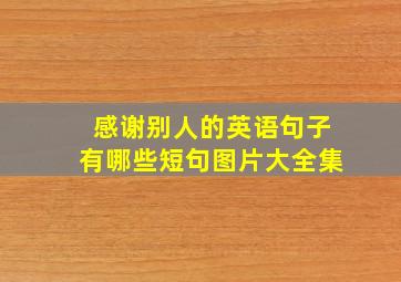 感谢别人的英语句子有哪些短句图片大全集