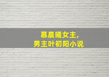 慕晨曦女主,男主叶初阳小说