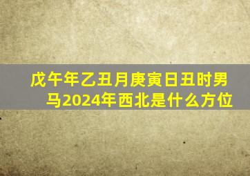 戊午年乙丑月庚寅日丑时男马2024年西北是什么方位