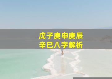 戊子庚申庚辰辛巳八字解析