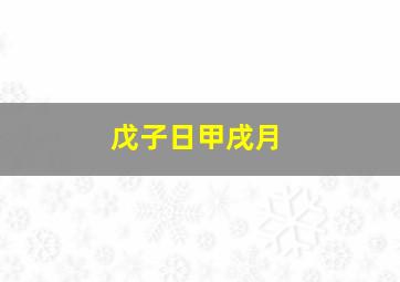 戊子日甲戌月