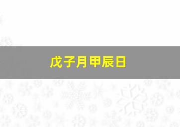 戊子月甲辰日